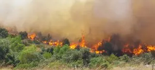 Pożar w Grebasticy, Chorwacja