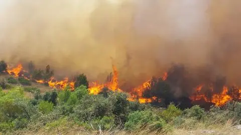 Pożar w Chorwacji. Czterech strażaków zostało rannych