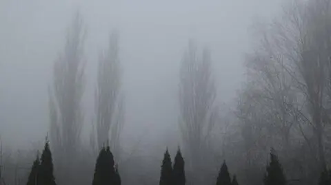 Poranek może być mglisty