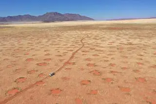Kręgi w Namibii