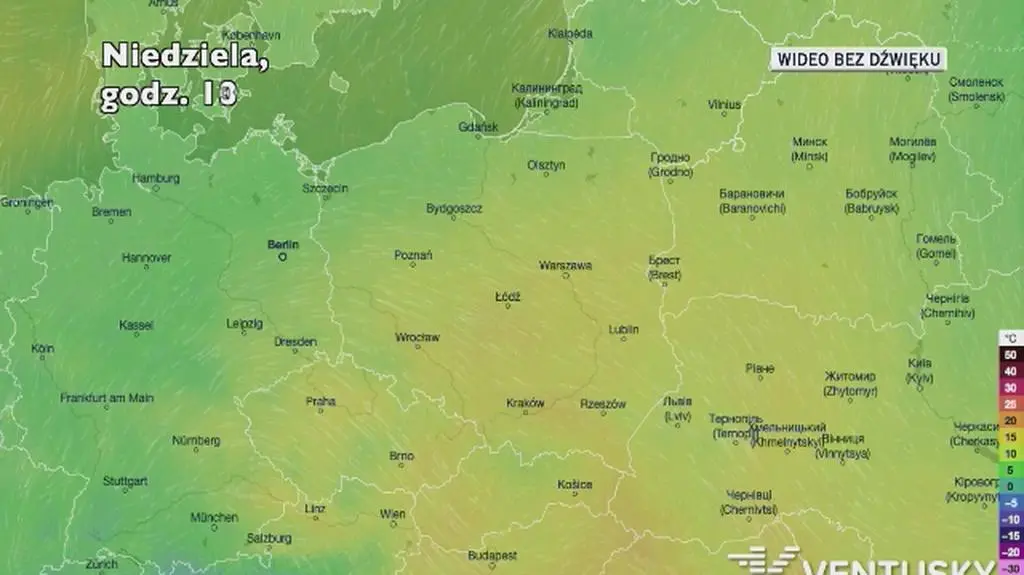 Prognozowana temperatura w najbliższych dniach