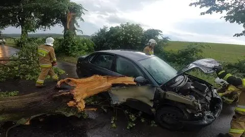 Ponad 300 interwencji po burzach. Połamane drzewa, wypadki na jeziorach i drogach