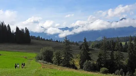 Słonecznie, pogodnie, góry