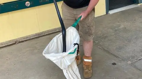 Wąż w plecaku ucznia
