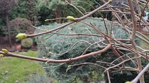 Coraz częściej przeżywamy szok termiczny, lada moment czeka nas kolejny. Cierpimy i my, i przyroda