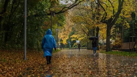 Ulokował się nad Morzem Północnym, stamtąd rządzi pogodą. Co przyniesie nam wir niżowy