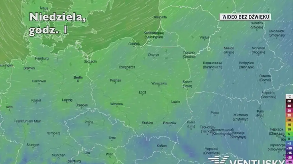 Prognozowana temperatura w kolejnych dniach (Ventusky