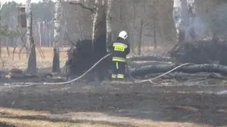Pożar lasu i traw w miejscowości Jeziory Wysokie