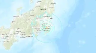 Trzęsienie ziemi w Japonii