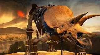 Czy aktywność wulkaniczna zabiła dinozaury?