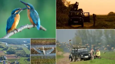 Pomysł na długi weekend: Bagna Biebrzańskie pieszo, kajakiem lub na rowerze