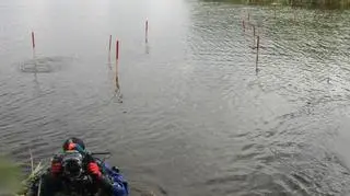 Pozostałości mostu odkryli archeolodzy podwodni