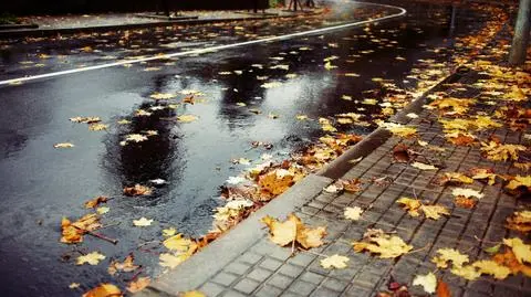 Większość kierowców we wtorek będzie jeździć po mokrych drogach