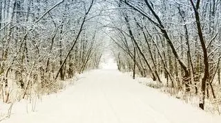 Śnieg może utrudnić komunikację