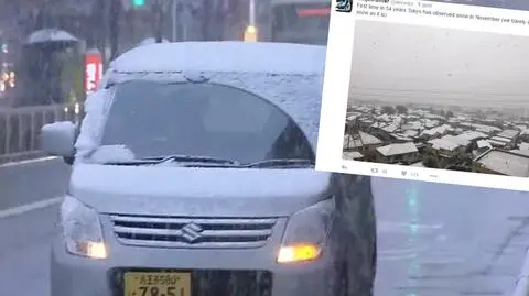Tokio: pierwszy śnieg w listopadzie od 54 lat