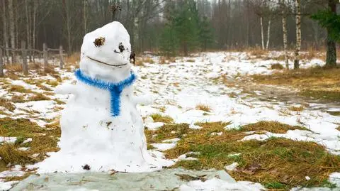 Dodatnie temperatury podtrzymają odwilż
