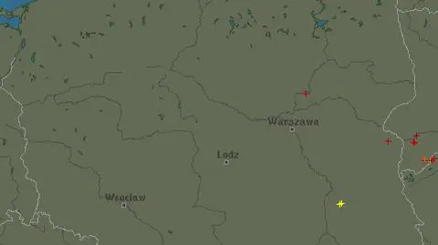 Wyładowania atmosferyczne nad Polską - godz
