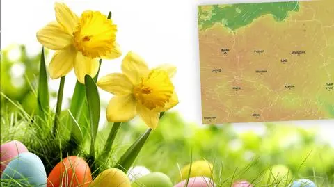 W wielu regionach będzie pogodnie