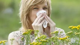 Alergików czeka prawdziwy armagedon