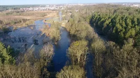 Miejscami przekroczone stany alarmowe. Na zachodzie jest groźnie, obowiązują alerty