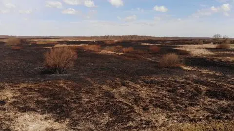 Pożar w Biebrzańskim Parku Narodowym ugaszony. "Pozostaje dozór pożarzyska"