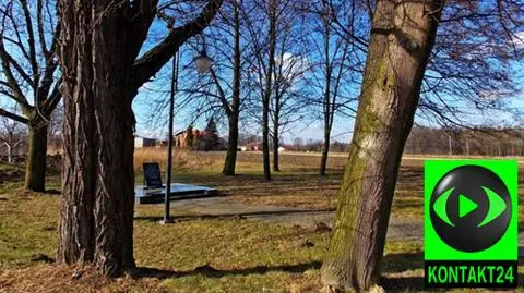 Prognoza pogody na dziś: pogodny i ciepły dzień