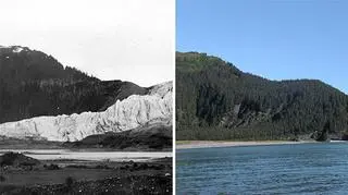 Alaska pokryta lodem w 1909 roku, zielona - w 2004.