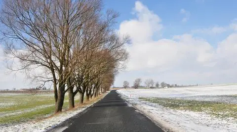 Aktualnie czytasz: Odwilż stała się bohaterką Waszych fotografii