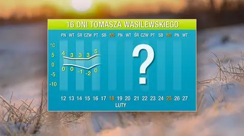 Prognoza Tomasza Wasilewskiego