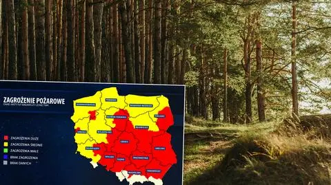 Najwyższy stopień zagrożenia pożarowego. Minister Środowiska: nie ma przesłanek do zamknięcia lasów