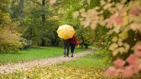 Część Polski znajdzie się pod deszczowymi chmurami