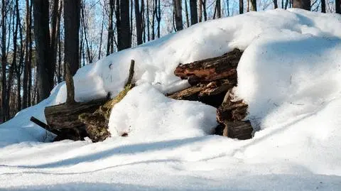 Topniejący śnieg to zagrożenie