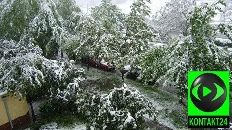 W zeszłym roku wiosenny śnieg zaskoczył Polskę na początku maja