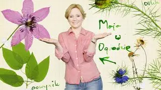 "Maja w ogrodzie" z podwójną premierą