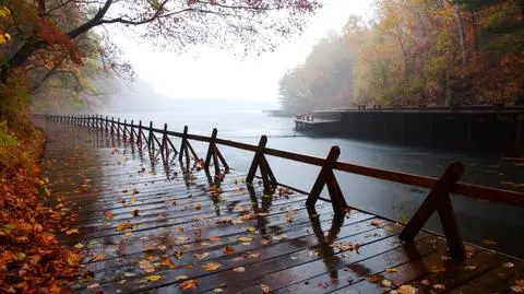 Na wschodzie kraju spadnie nawet 10 mm deszczu