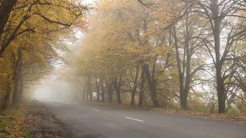 Poranne mgły utrudnią jazdę