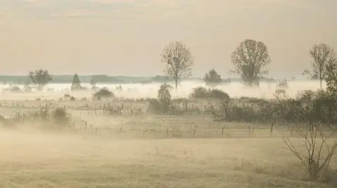 Mgły spowiją wiele regionów kraju
