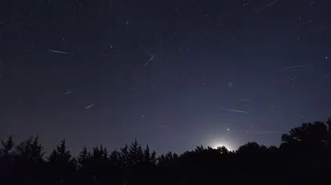 Szybkie Leonidy rozświetlą sobotnie niebo