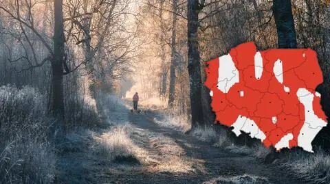 Grudzień w Polsce