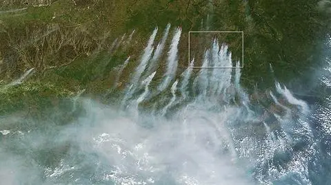 Syberia w ogniu. Już prawie 200 pożarów 