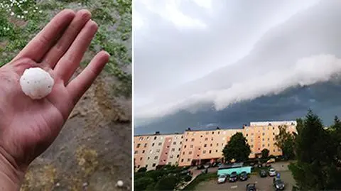 Ponad 800 interwencji w poniedziałek. Grad, zalania, połamane drzewa