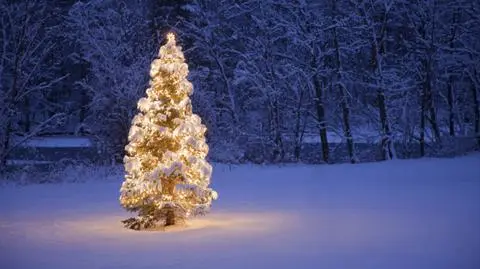 Według obecnych prognoz szanse na białe święta istnieją 