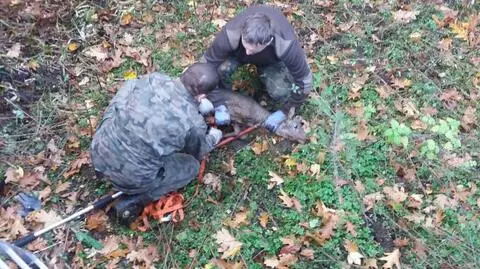 Sarna uwięziona w zbiorniku o ścianach wysokich na trzy metry