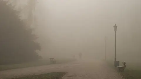 Mgły powinny ustąpić przed południem