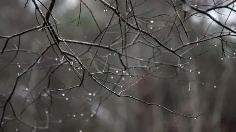 Najwięcej śniegu spadnie w górach