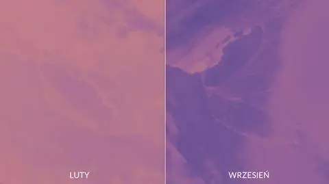 Lodowiec ruszył w drogę