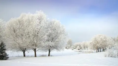 Według większości prognoz nadchodząca zima nie będzie rekordowo mroźna