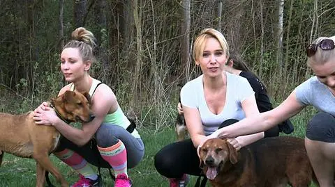 To sposób na szczęśliwego psa. Bieg na 6 łap