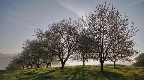 Sobota słoneczna, miejscami deszczowa
