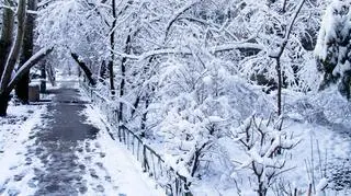 Jeszcze nie czas na takie widoki